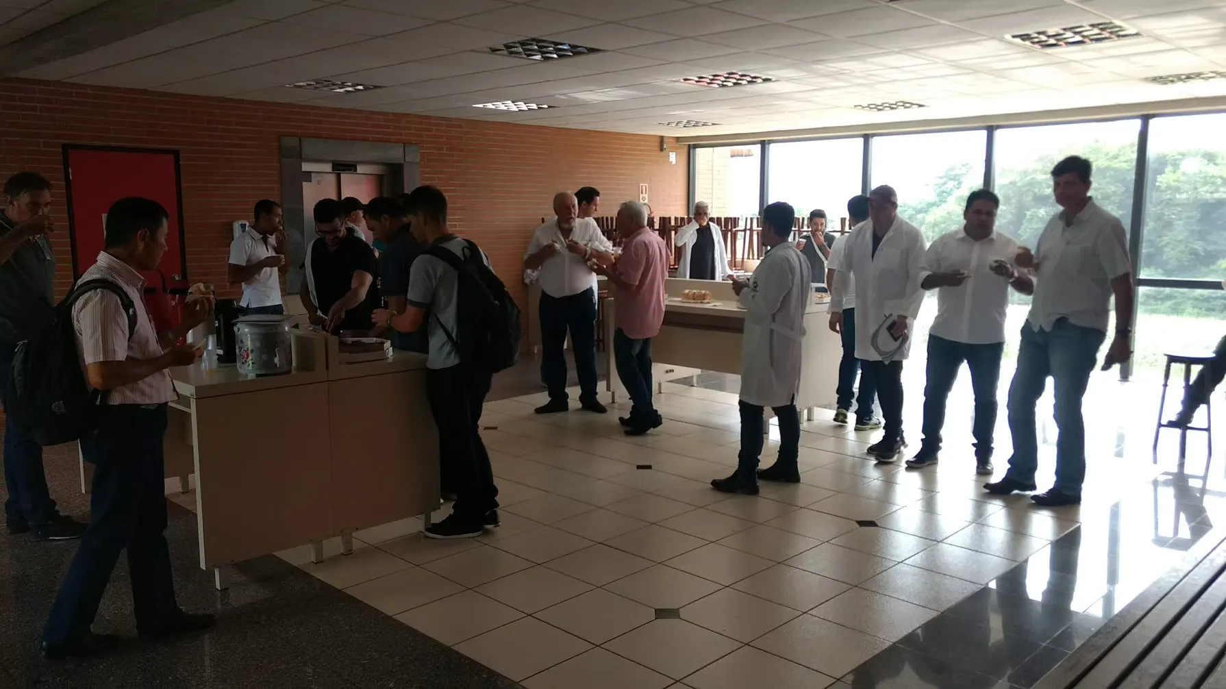 Foto da multiplicação